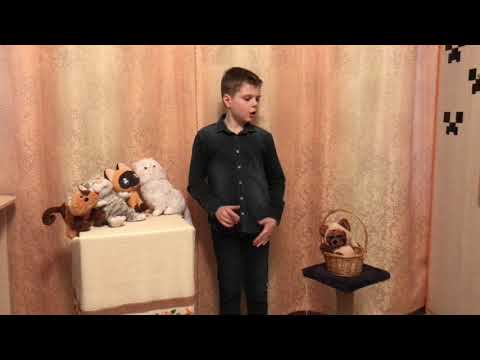 Конкурс художественного слова "Солнечный зайчик"