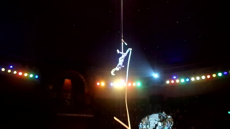 Корд-де-парель