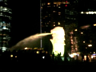 Only from SINGAPORE 2011 уххх)