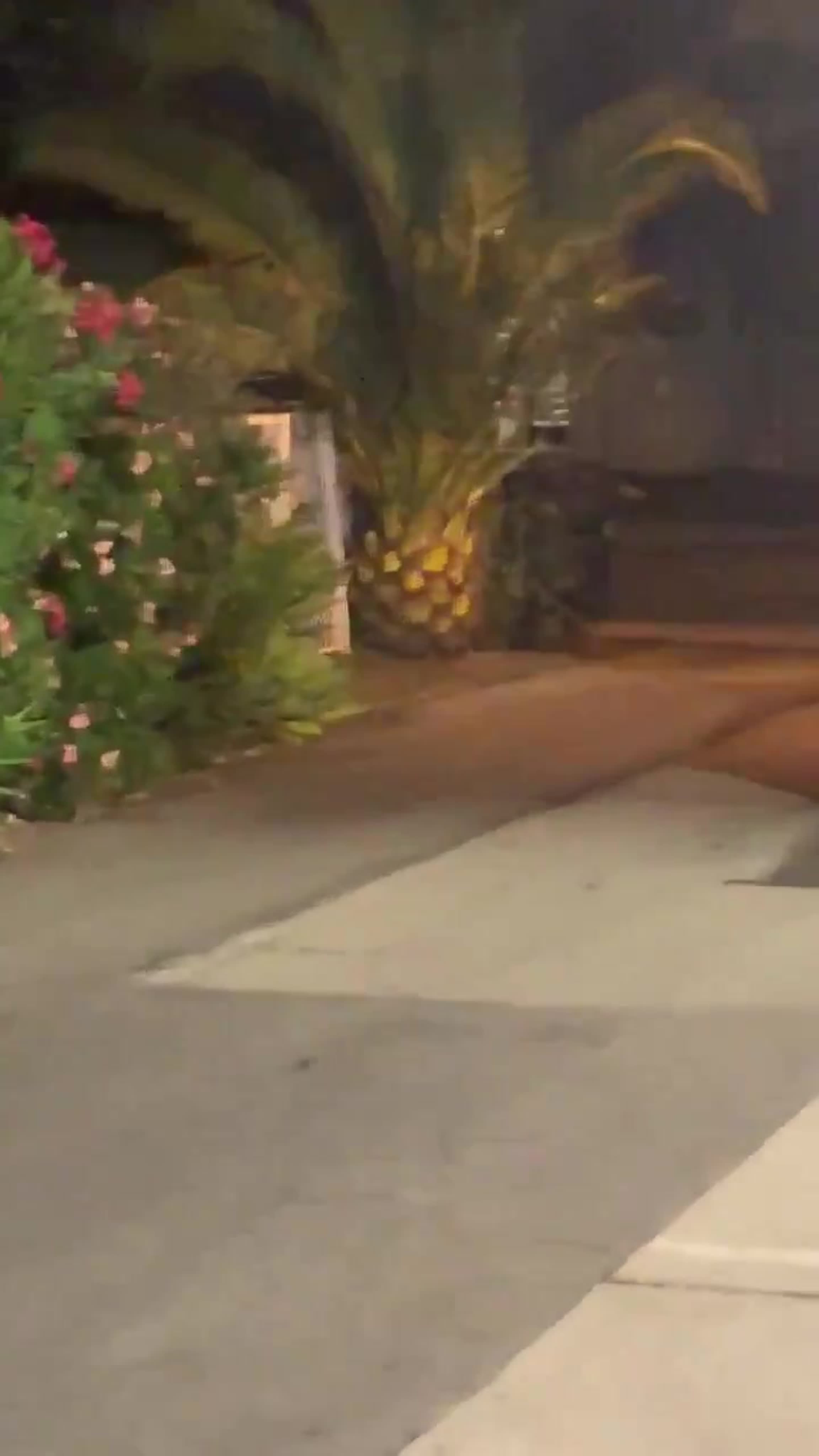 Instagram, Twitter, Weibo