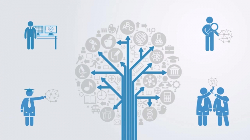 Теория сетей