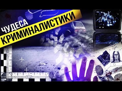 Чудеса криминалистики