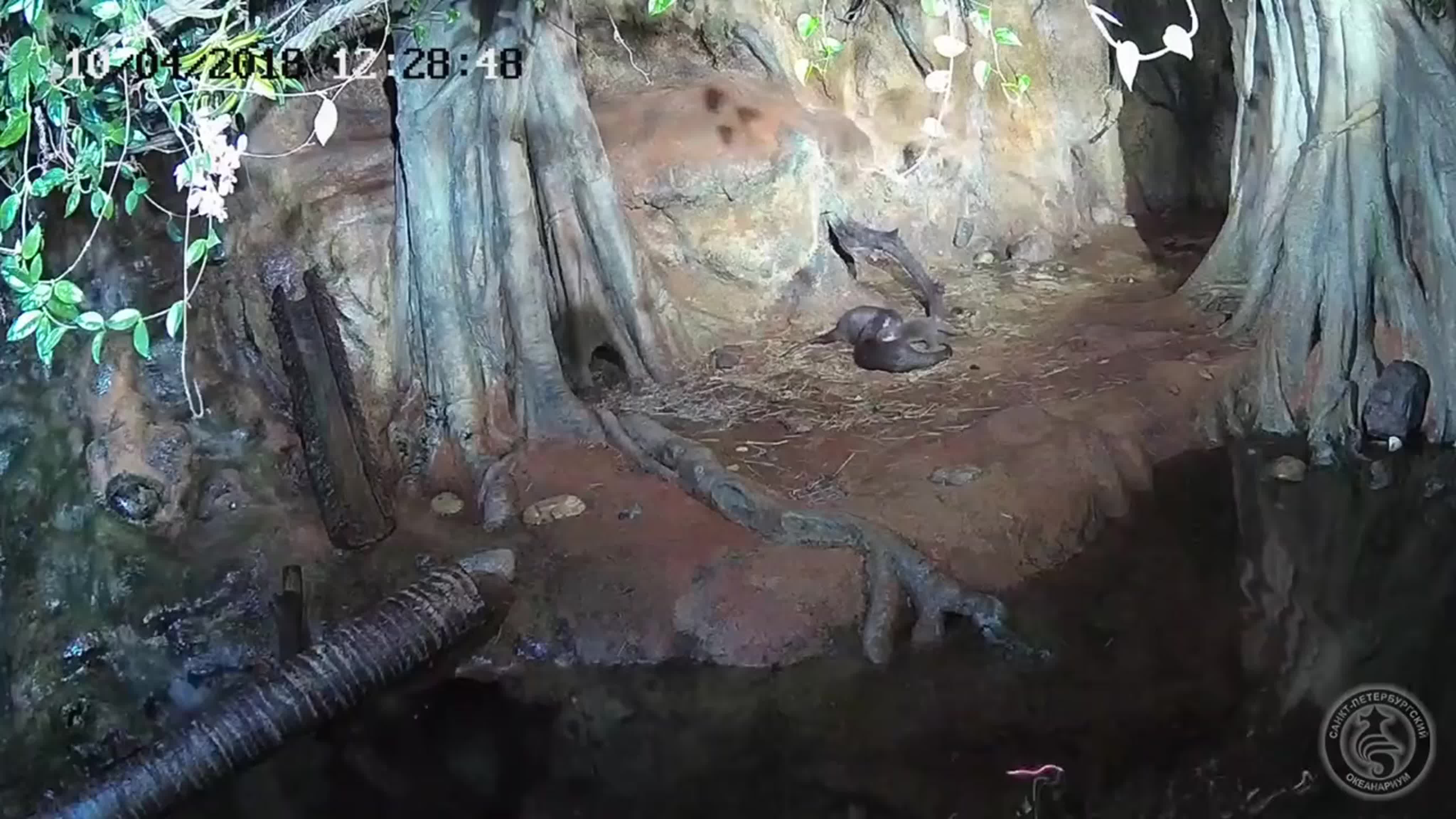 Санкт-Петербургский Океанариум