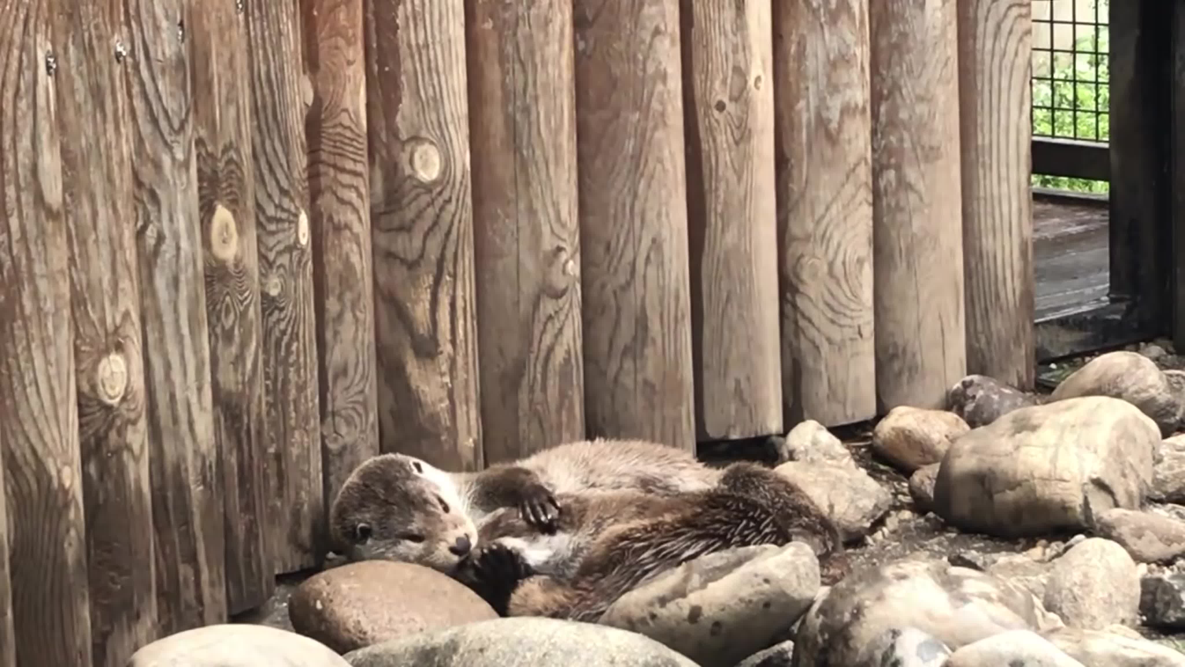 Ваня и Маня