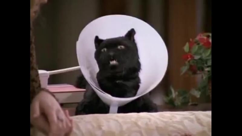 На английском