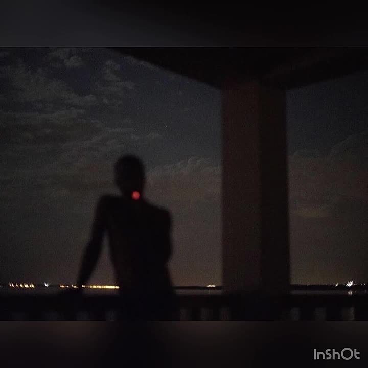 Проект по поэзии Афанасия Фета в 10 классе.