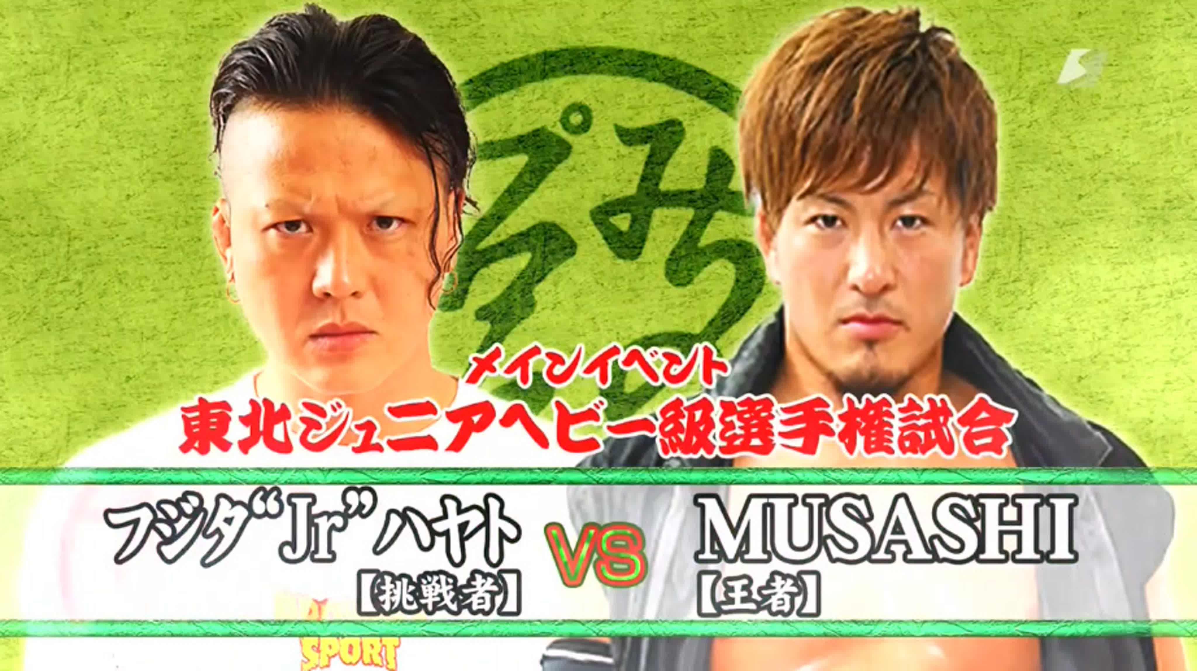 Матчи с Michinoku Pro