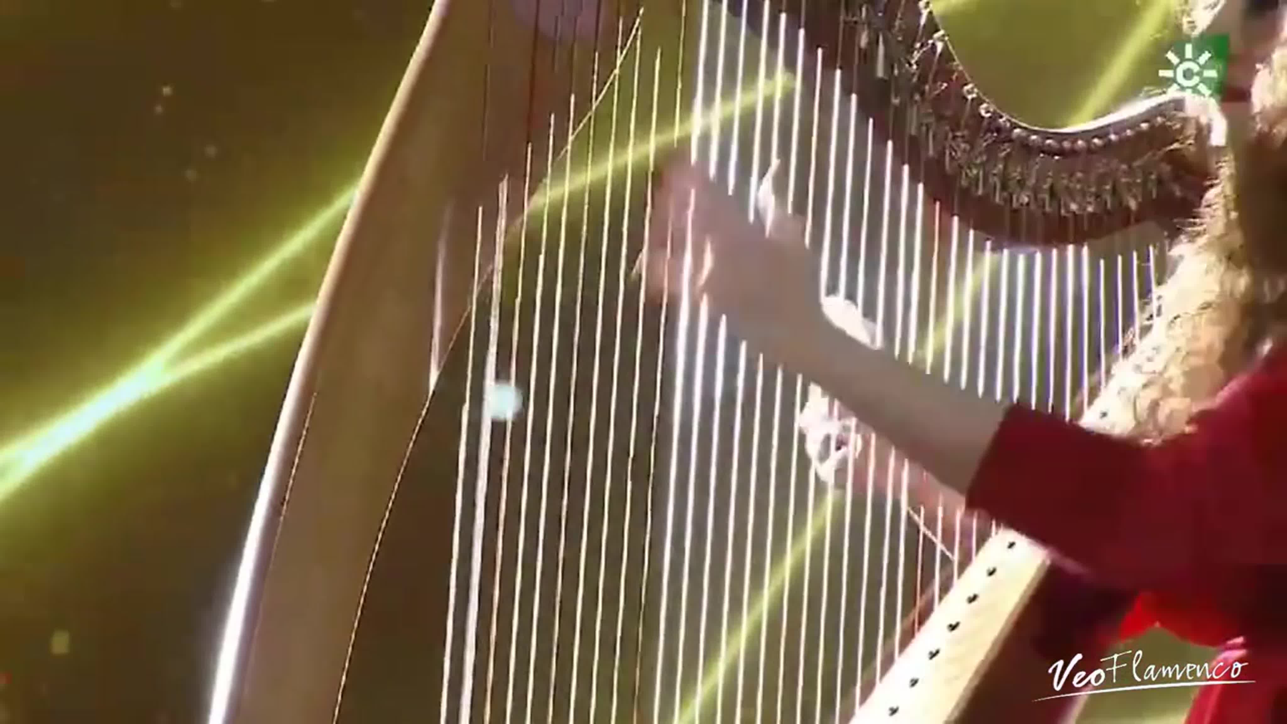 Фламенко-шоу