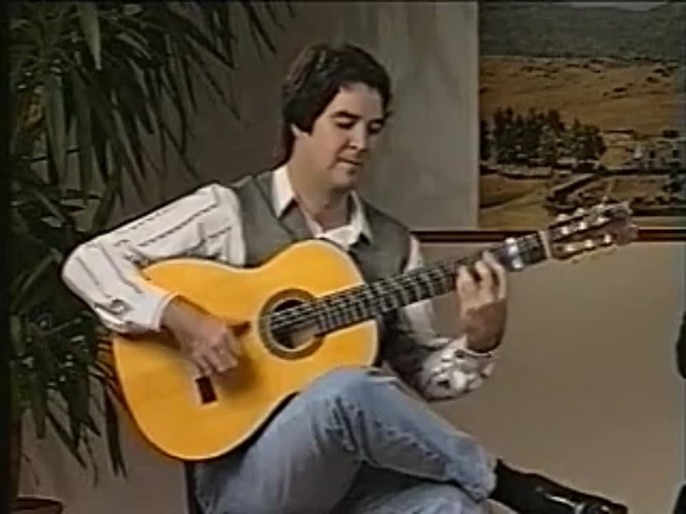 Видеошколы