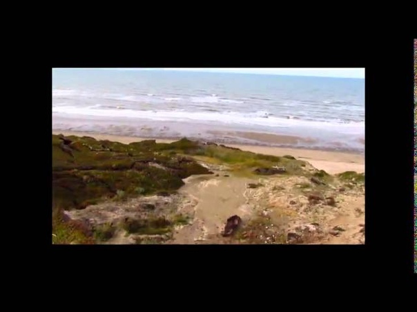 Счастливые люди