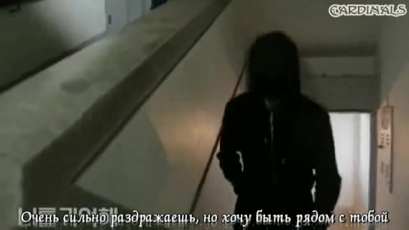 Привет монстр / ФСГ Cardinals