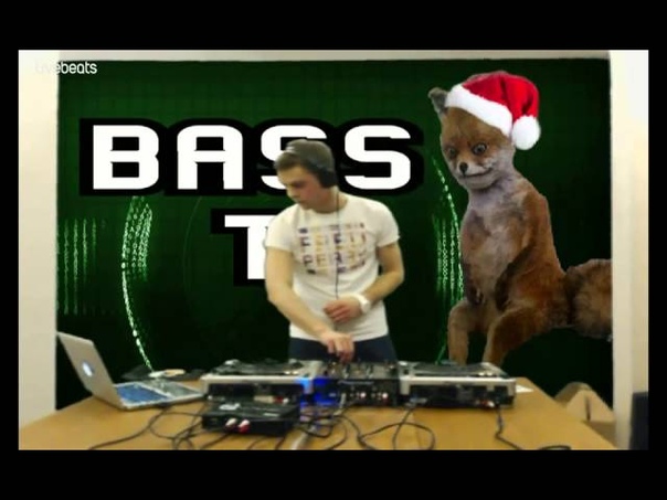 Basstv Live - Эфир № 024