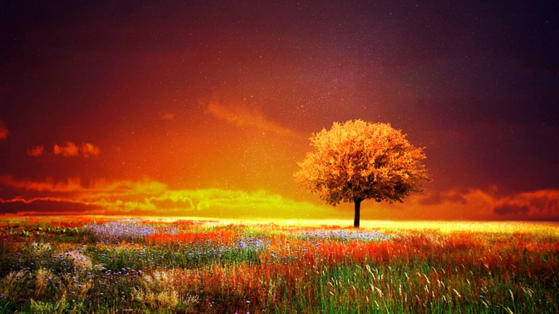 Chillout & Chillstep