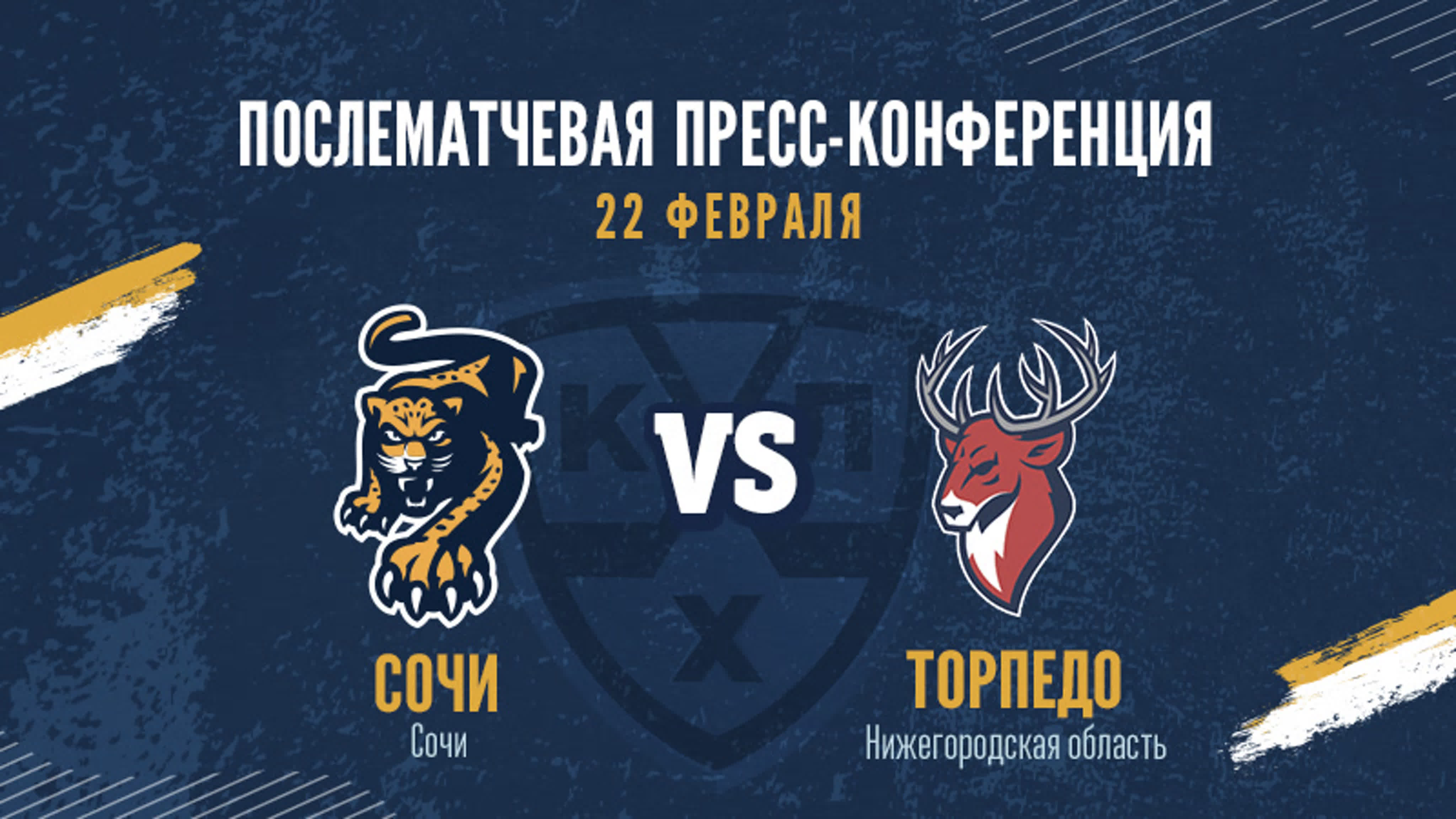 Пресс-конференции