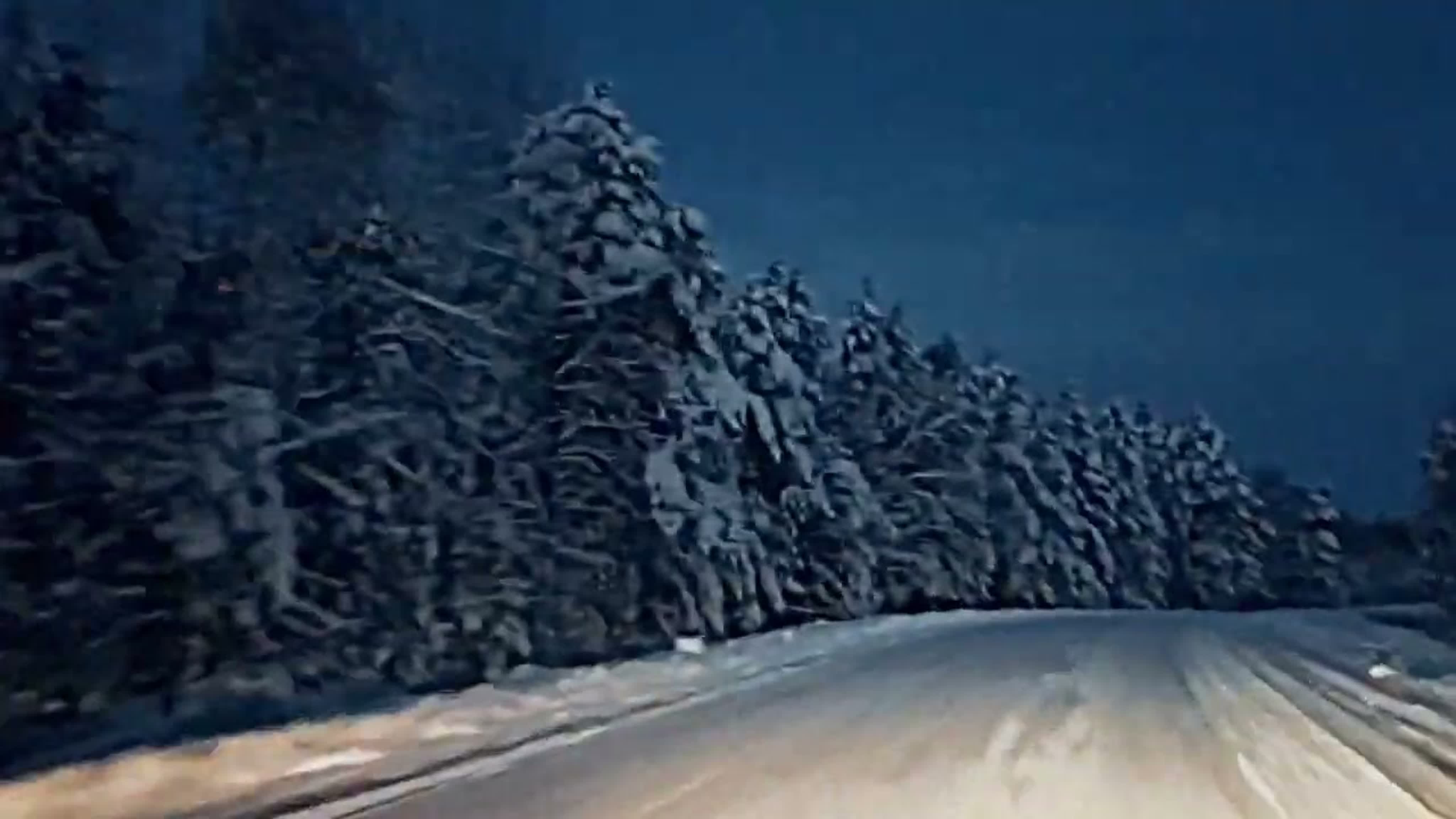 Варганы, хомусы