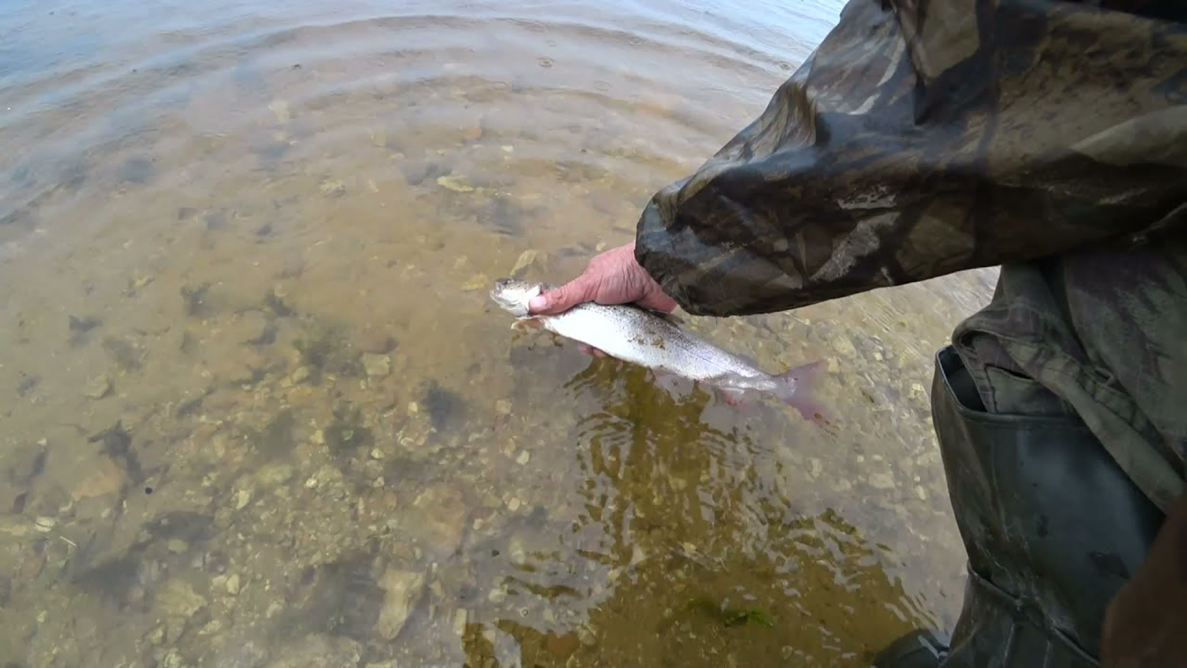 Короткие рыбацкие сюжеты