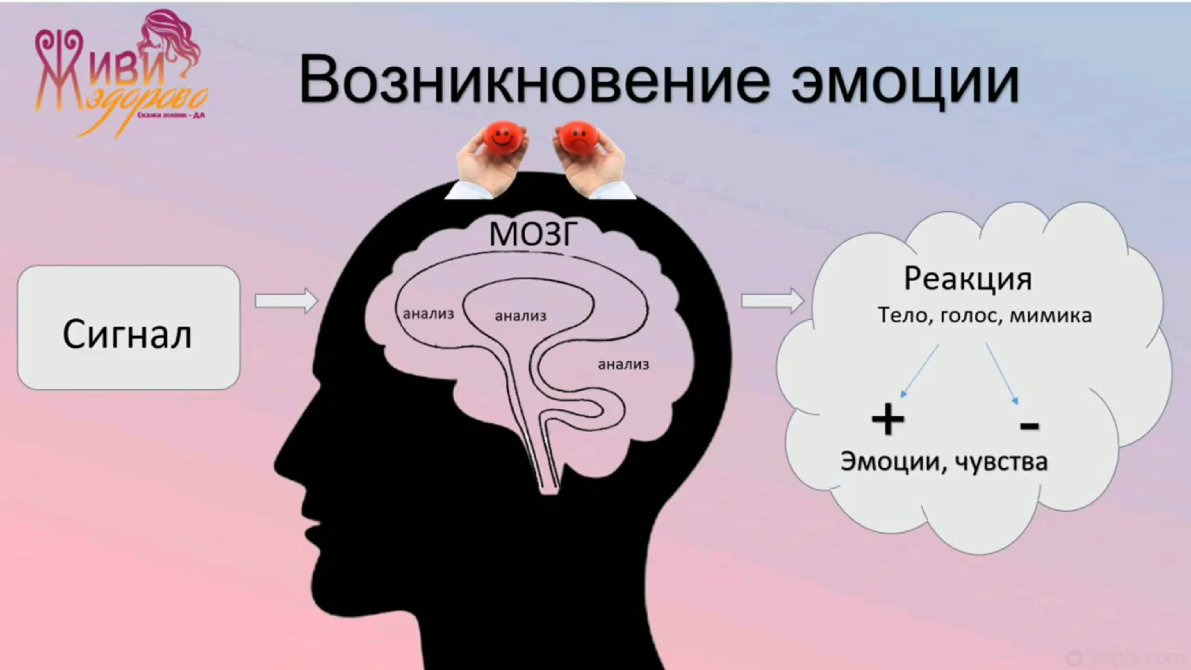 Психология