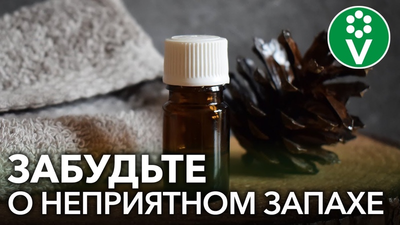 полезные советы