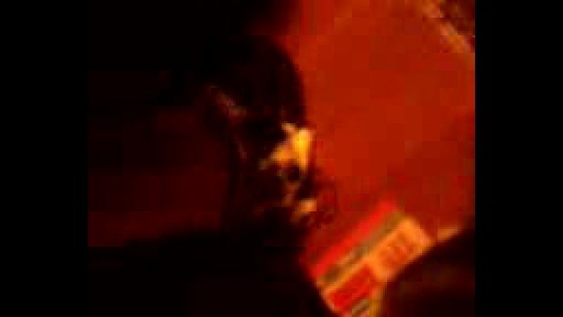 Кошачий дом