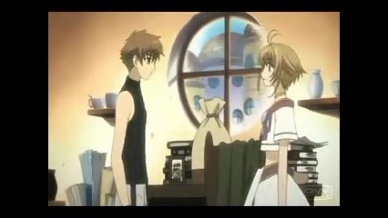 Хроника крыльев