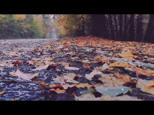 Мои стихотворения читает РС