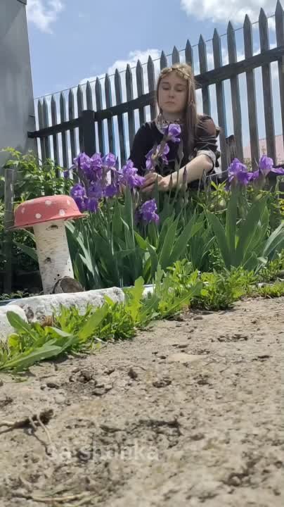 Документальные фильмы