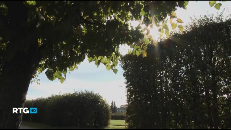 Путешествие по Москве и ее окрестностям