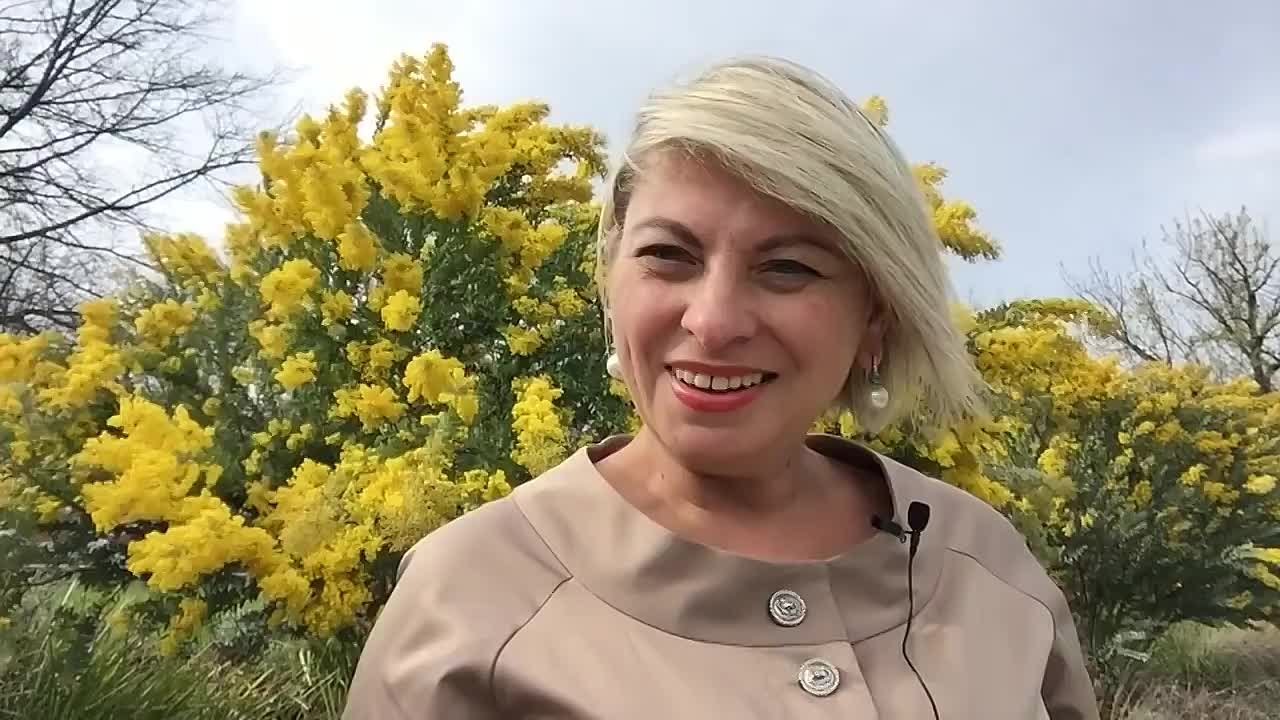 Об Асценденте