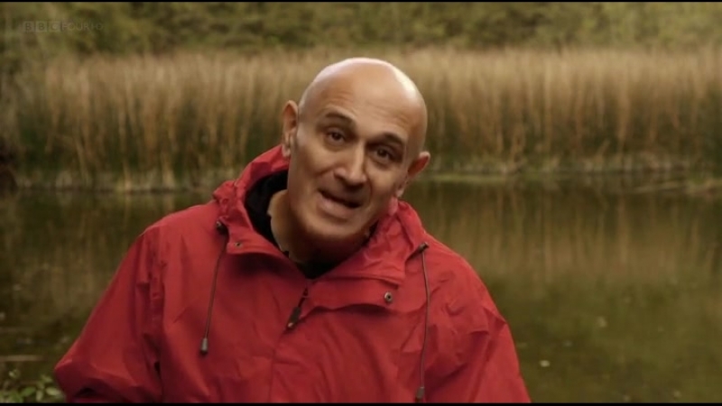 Сквозь кроличью нору