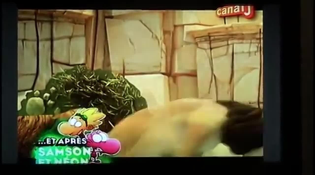 LEON - Ошибка Саванны!