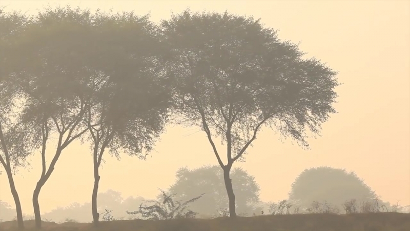 Видеоклипы