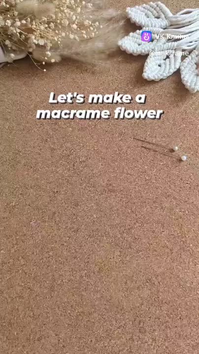 Цветы, растения, бабочки, насекомые.