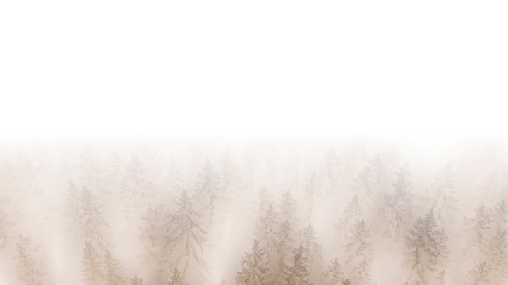 Записи докладов