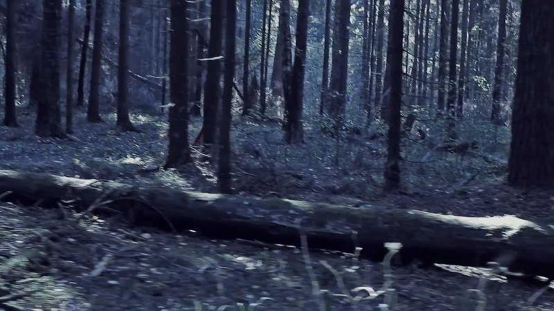 Песни, аудио