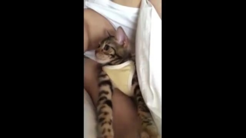 WEIBO Джеджун