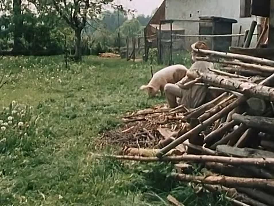 Чешское кино