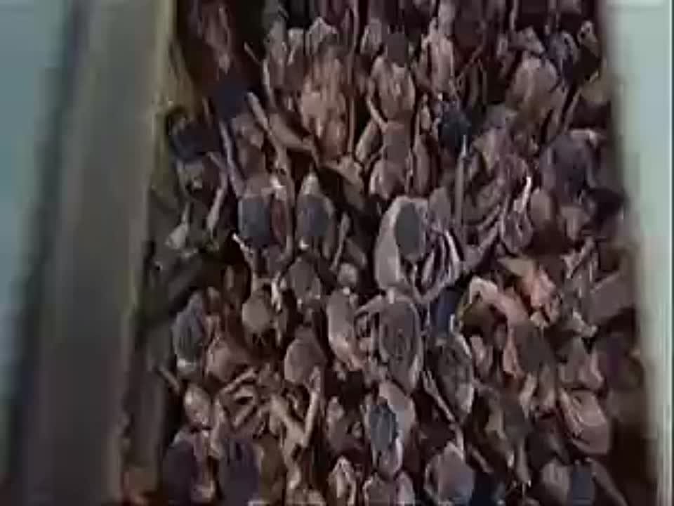 р е т р о
