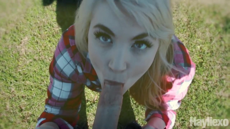 Hayliexo
