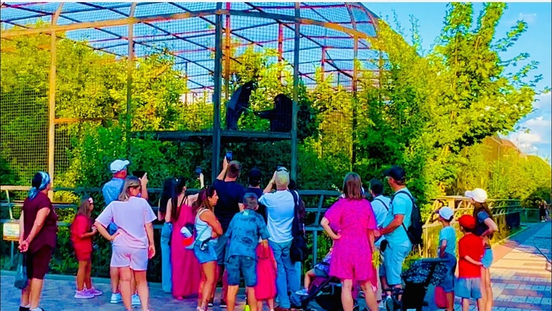 Парк львов Тайган