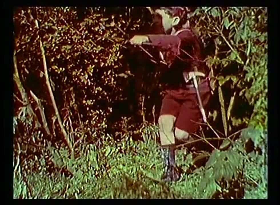 Анимационные фильмы и сериалы