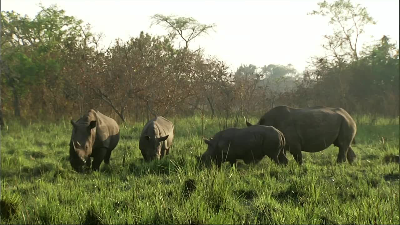 Большой Барьерный риф с Дэвидом Аттенборо (2016)