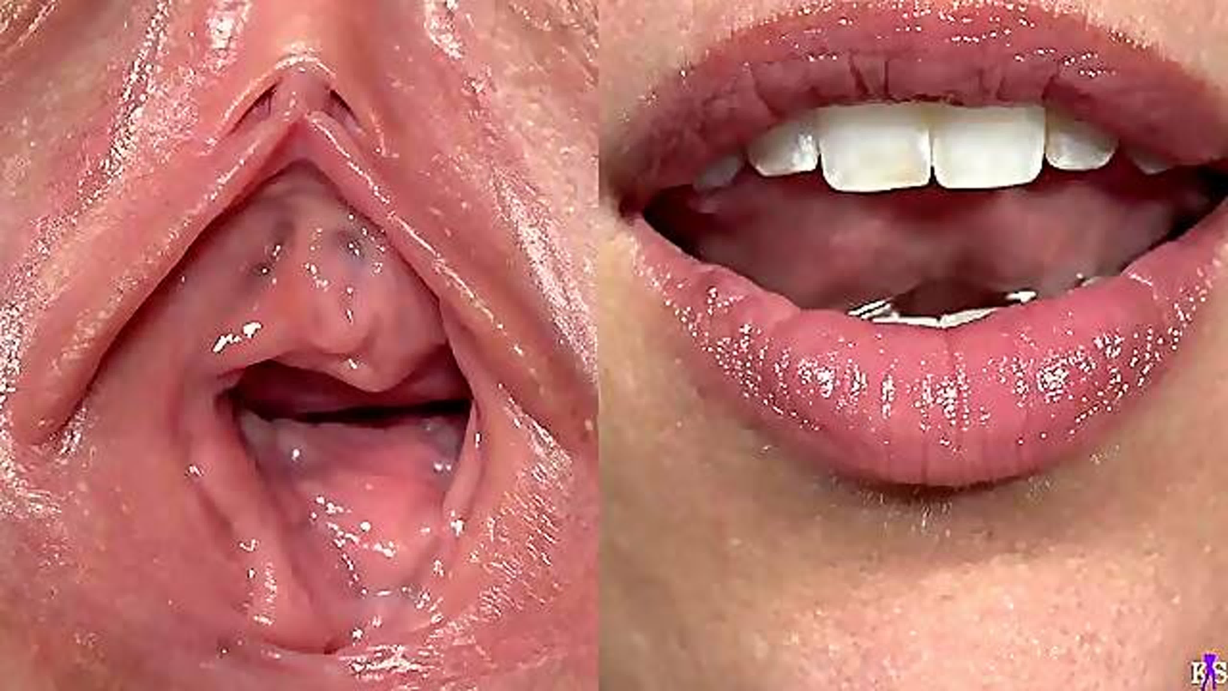 Close Up Porn Videos