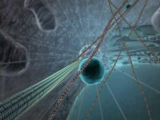 Пізнавальне