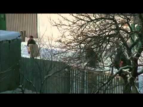 10 ЗАПРЕЩЕННЫХ ДОКУМЕНТАЛЬНЫХ ФИЛЬМОВ