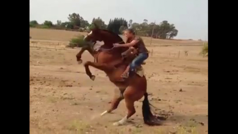 Не каждый хозяин,кто влез в седло.