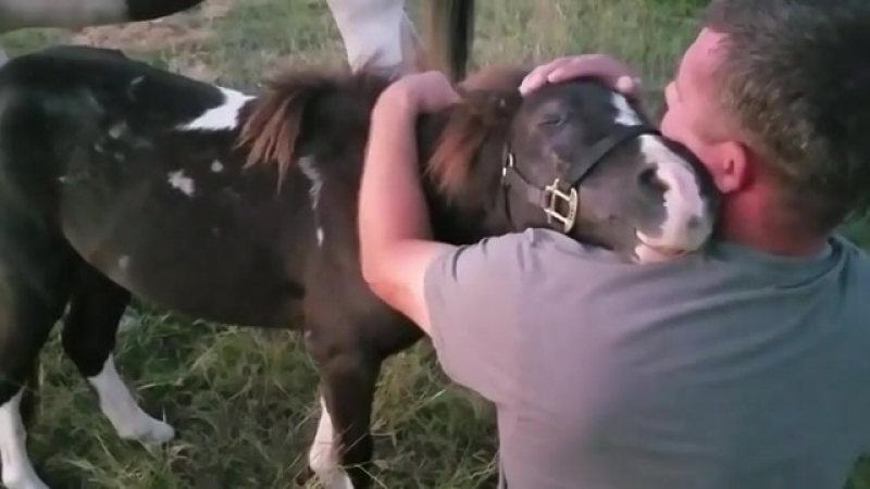 Это любовь.