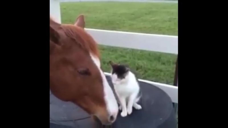 Ну обними, ну пожалуйста.