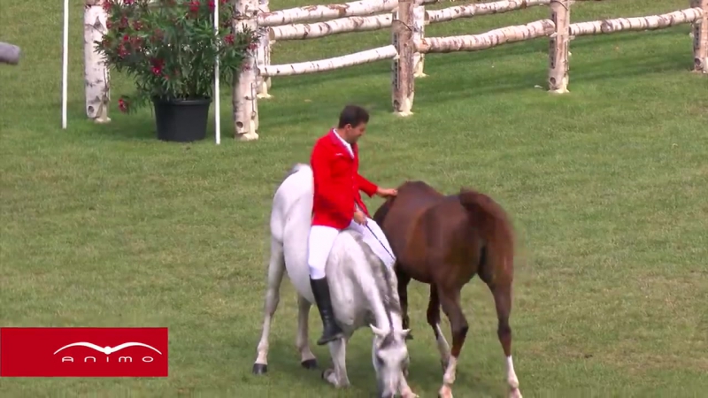 Без уздечки и седла.