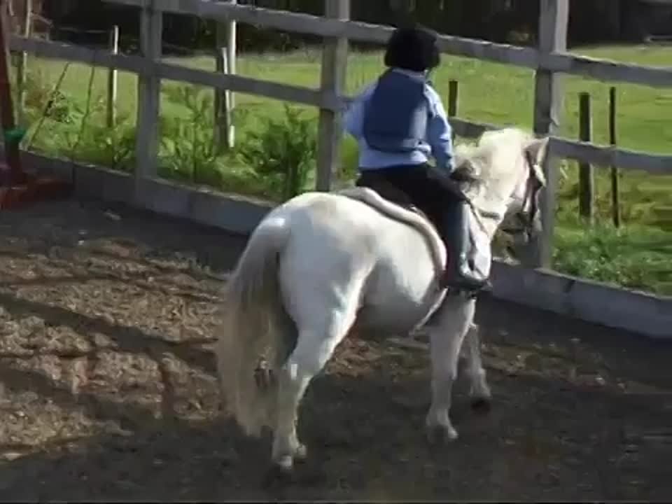 Упертая девочка с упёртым пони