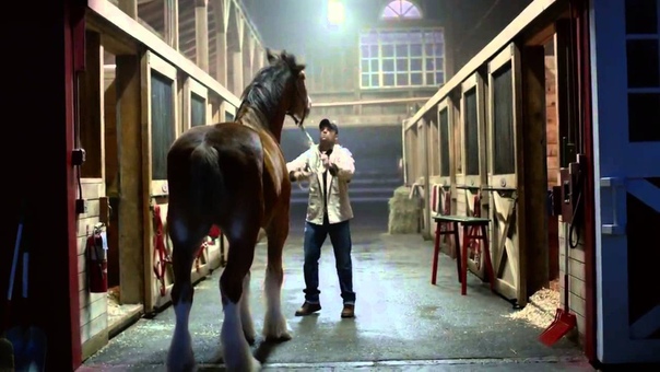 Потерянный щенок